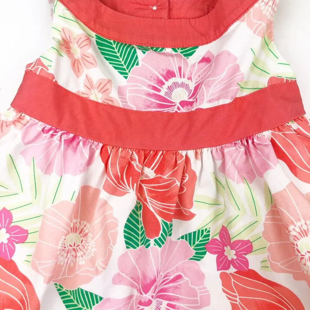 Gymboree Sleeveless Floral Fairy Blossom Dress Size 12-18 Months